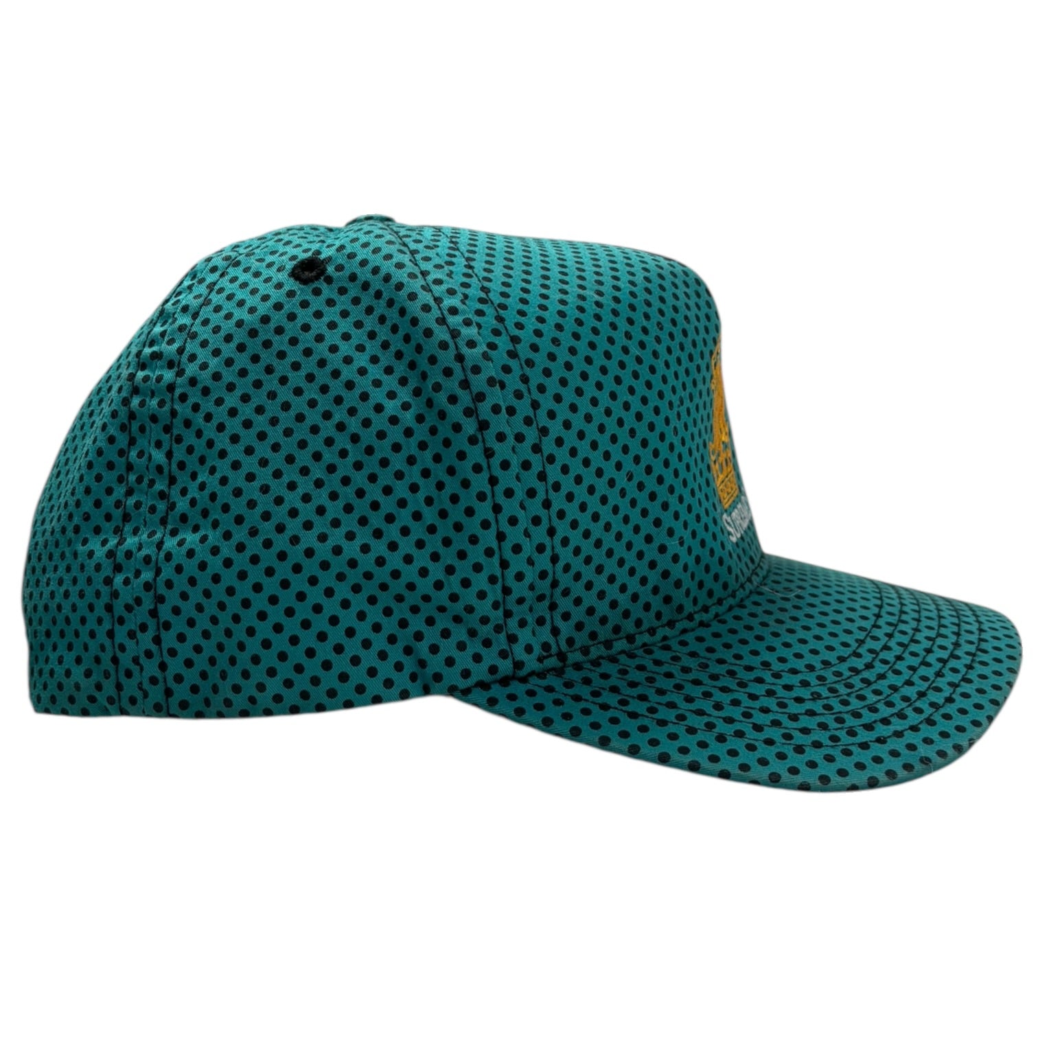 Supreme Polka Dot Lion Hat Teal (SS13)