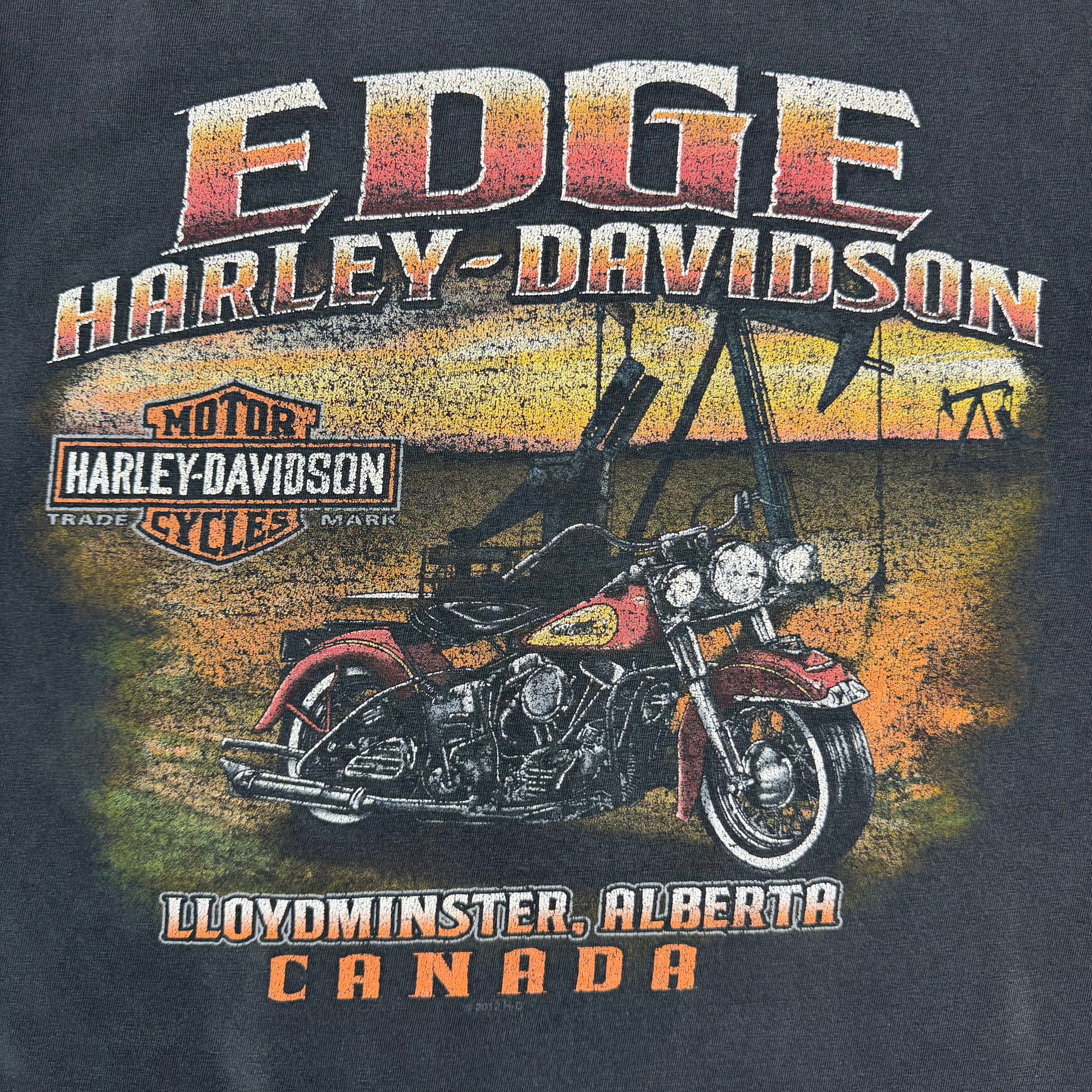 Vintage Harley Davidson Edge Flaming Skull Contrast Sleeve Tee Black