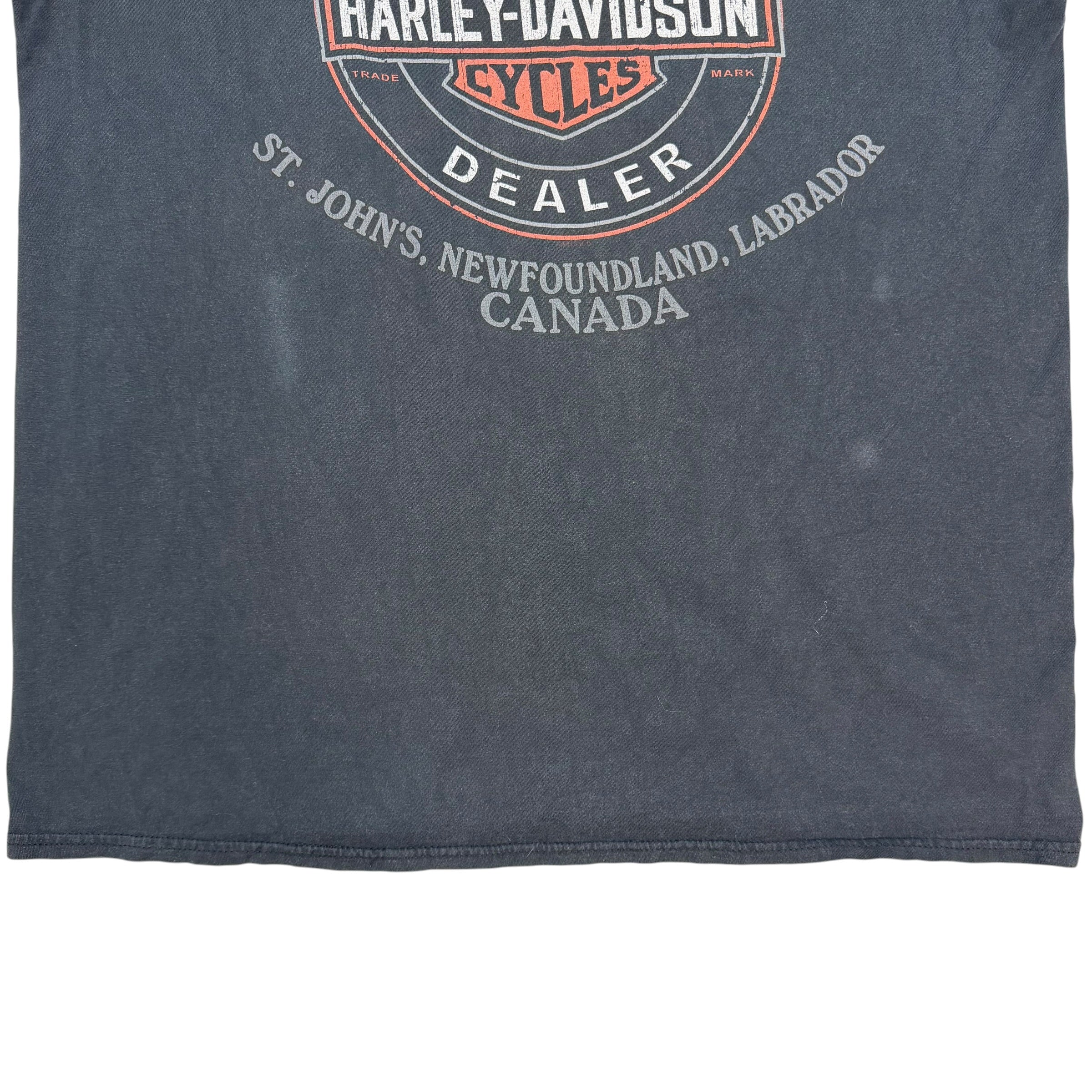 Harley Davidson Flame Logo Tee Black