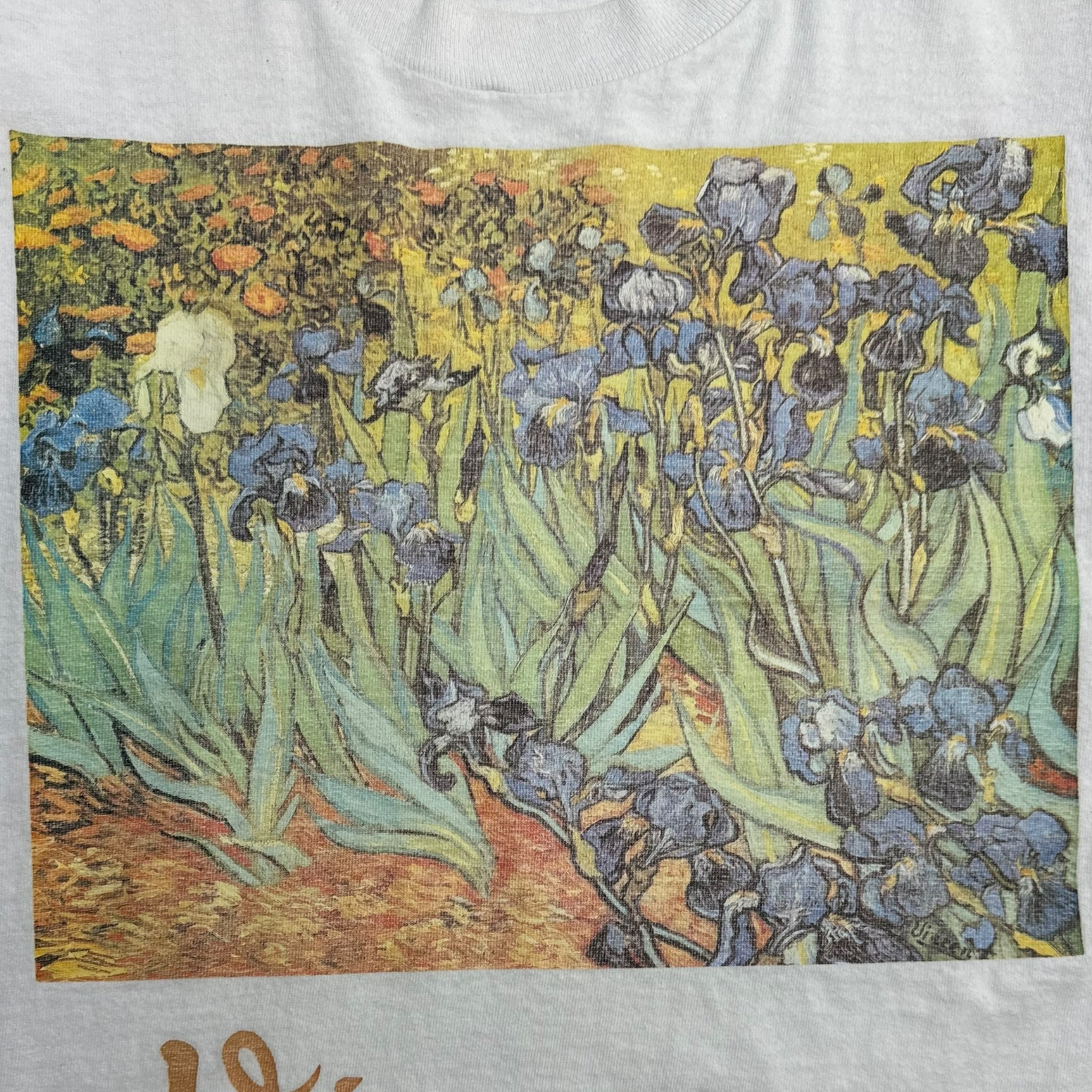 Vintage Vincent Van Gogh Irises Painting T-Shirt