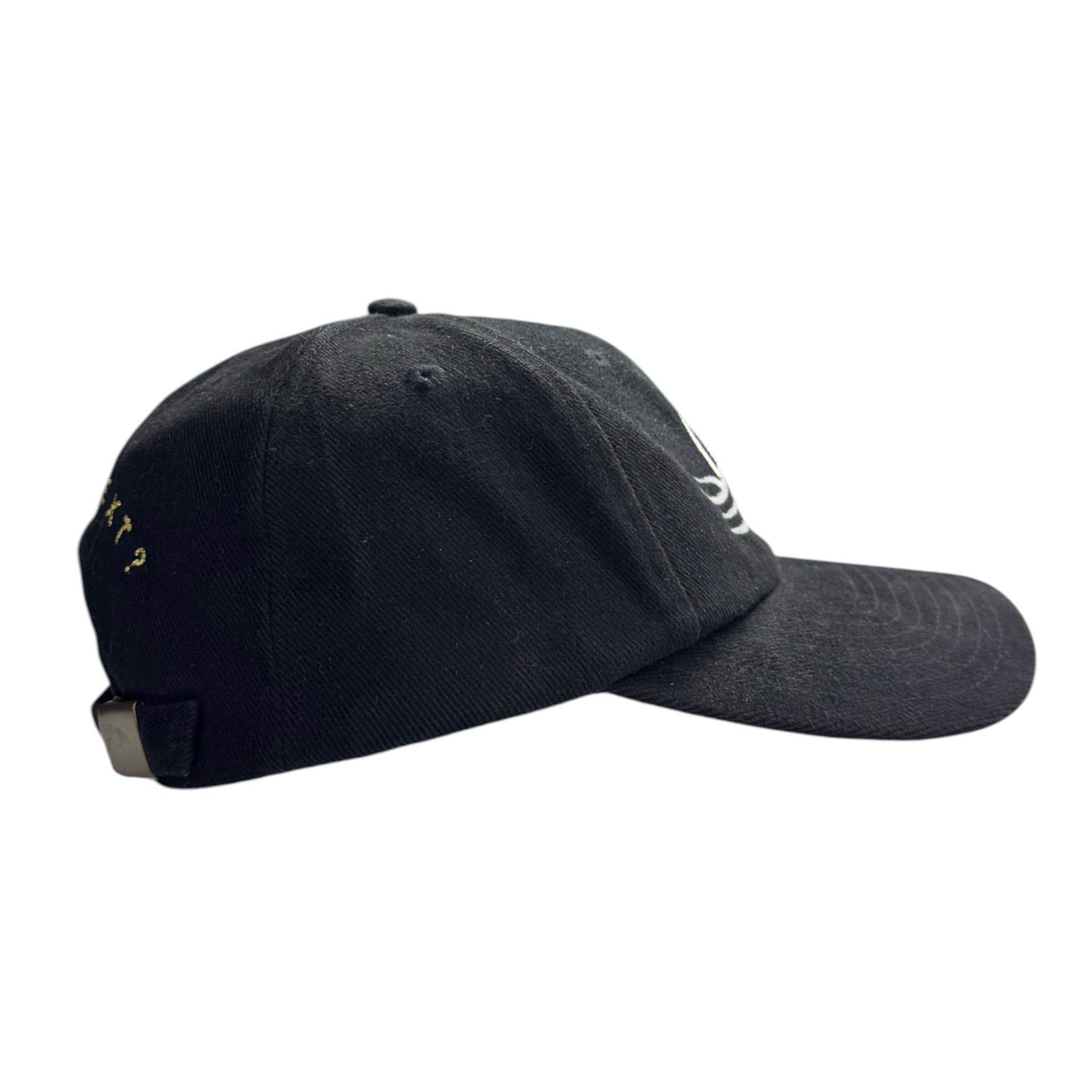 Vintage WCW Goldberg Tribal Tattoo Nu-Metal Hat