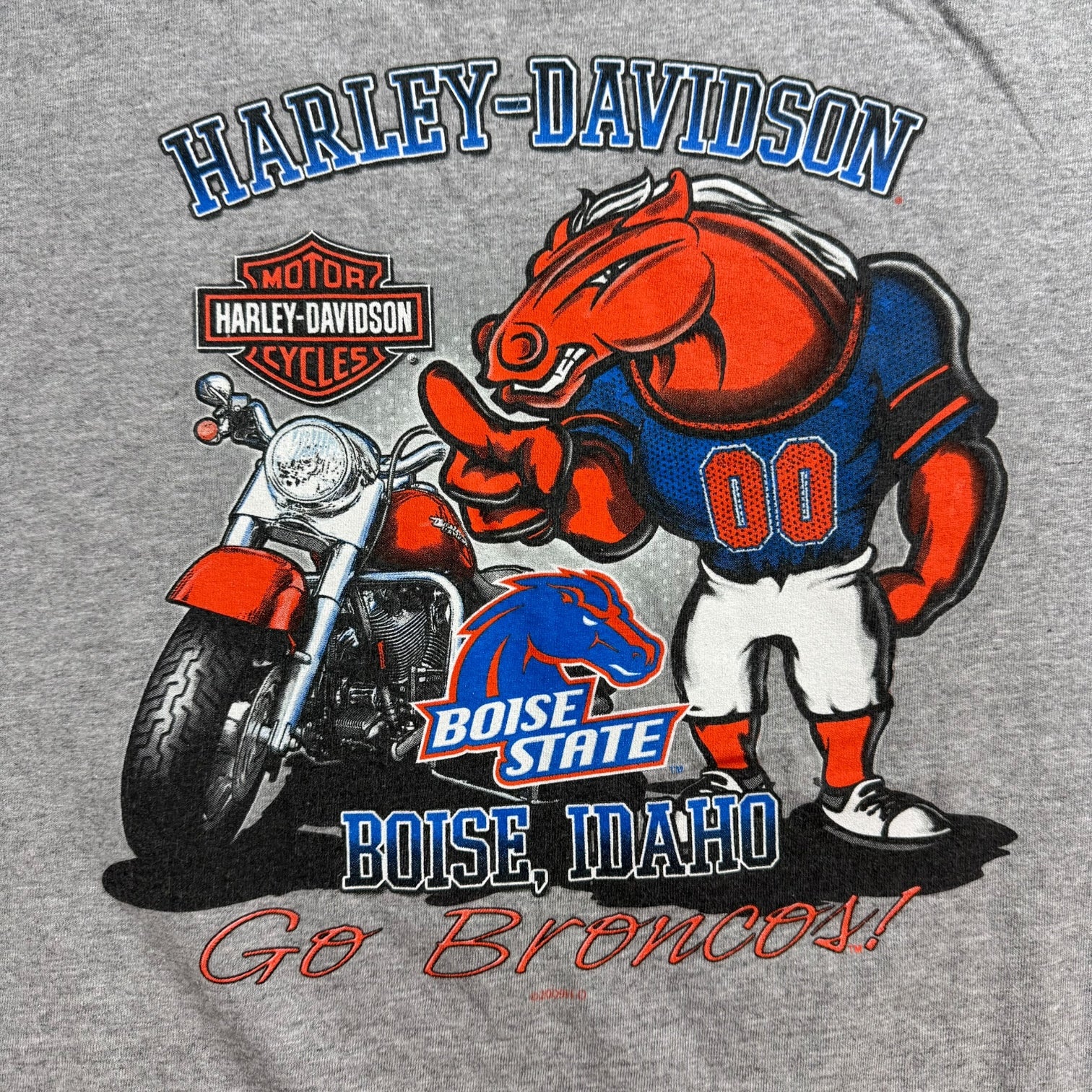 Vintage Boise State x Harley Davidson Tee Grey