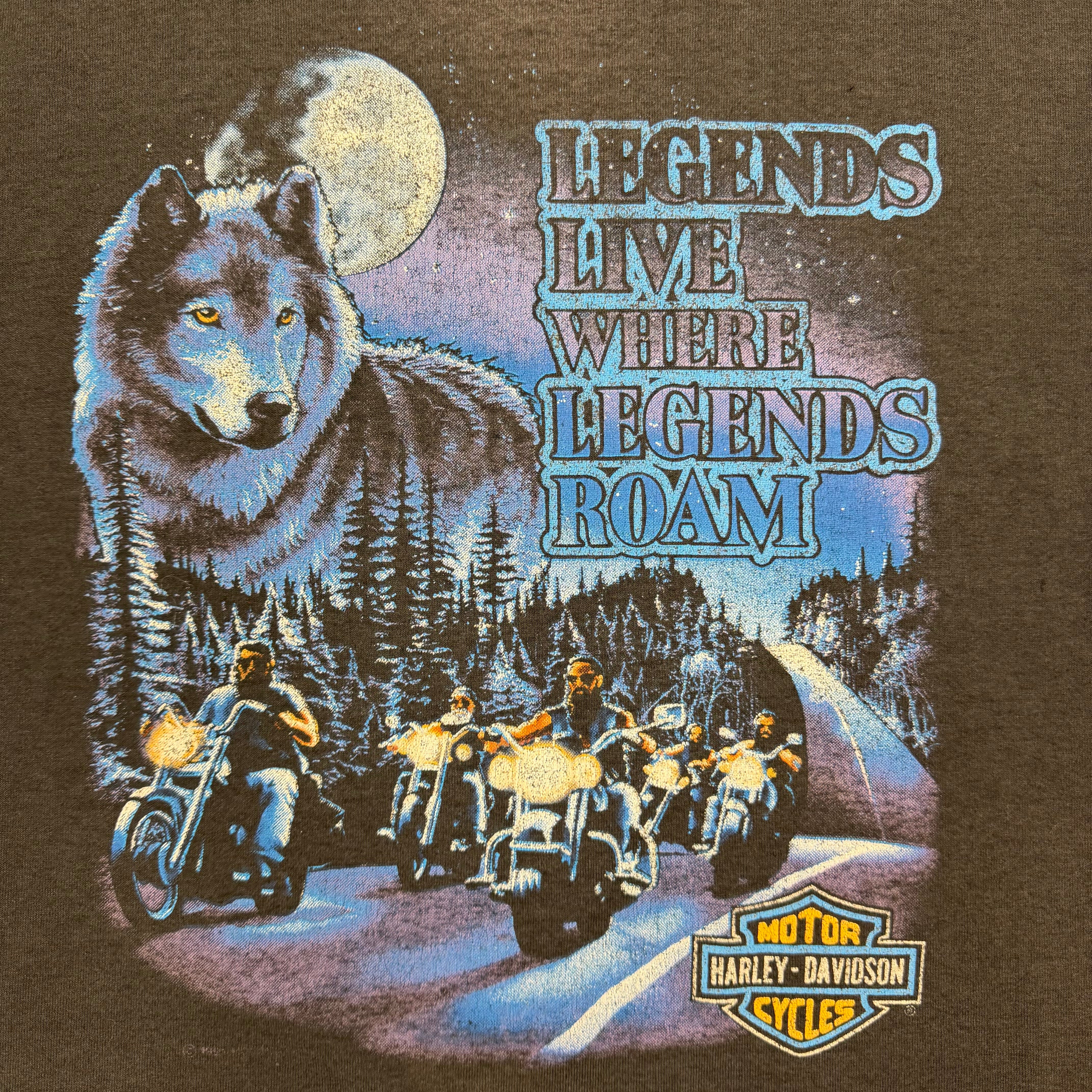 Vintage Harley Davidson “Legends Live Where Legends Roam” Hawaii Tee Black