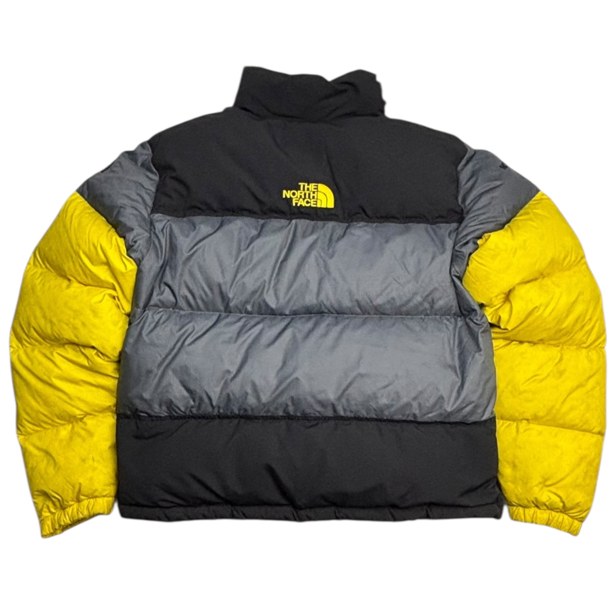 The North Face 700 Steep Tech Jacket