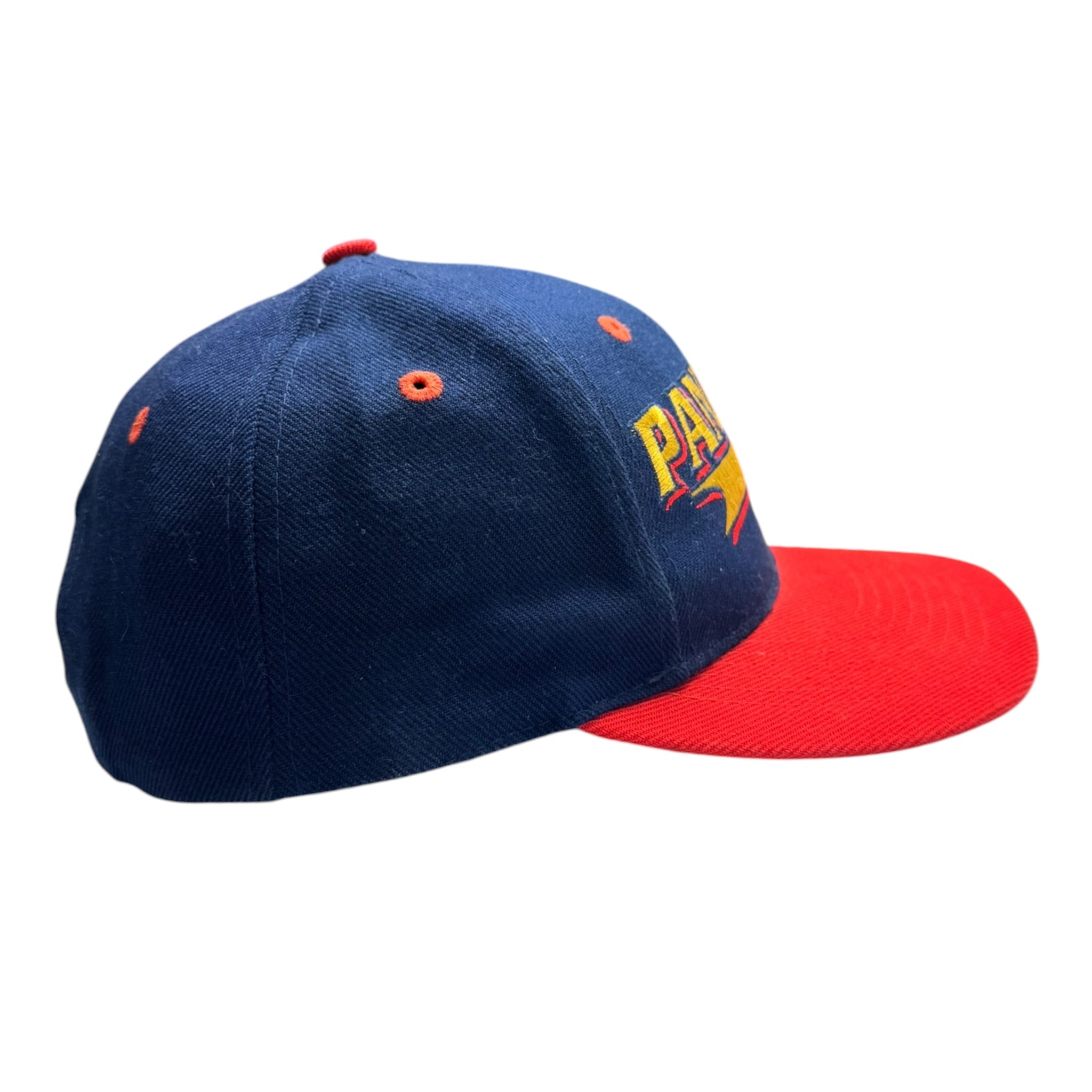 Vintage Florida Panthers Logo Athletic NHL Hat