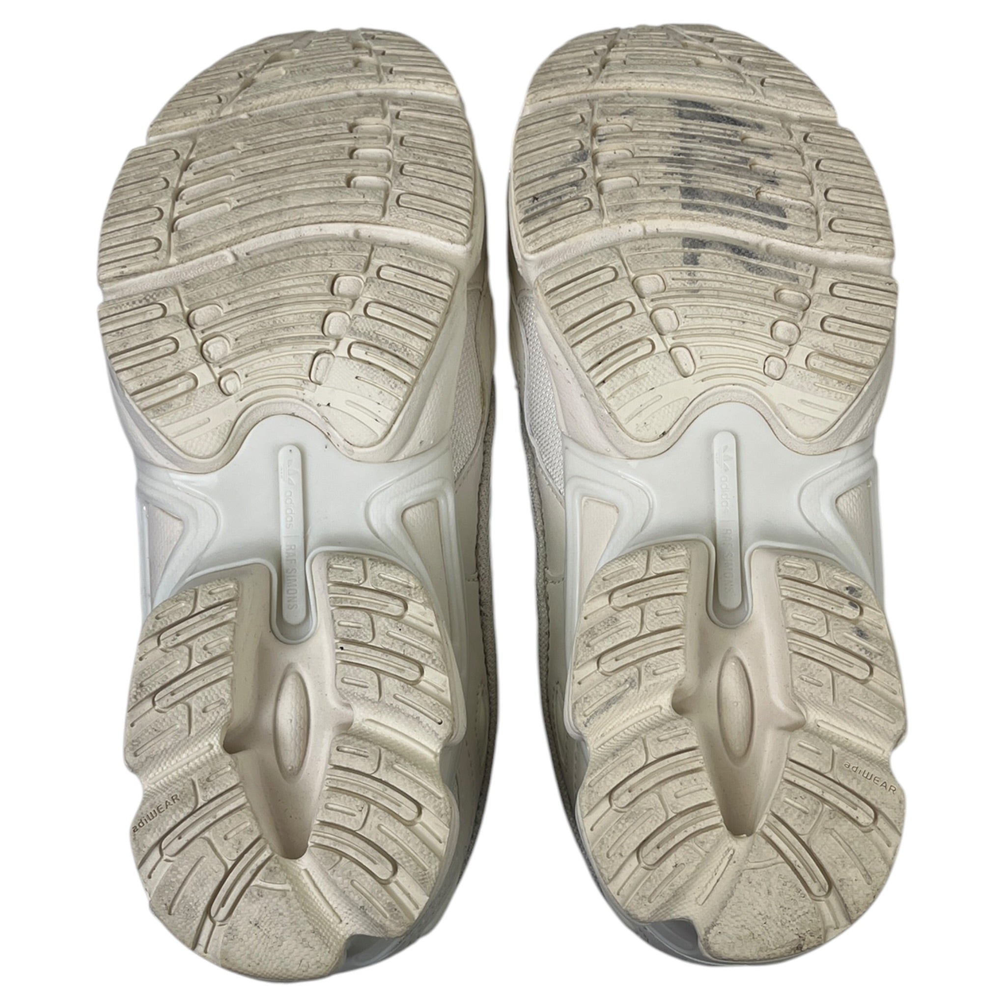 Adidas x Raf Simons Replicant Ozweego (Used)