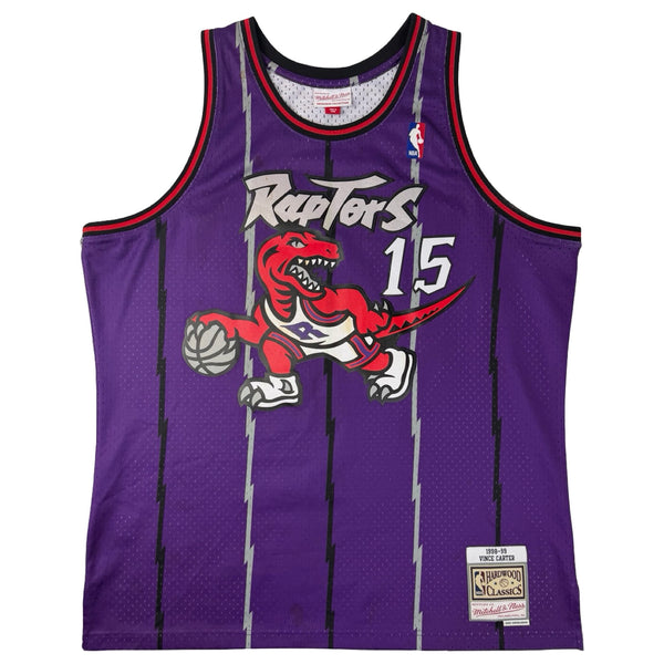 Toronto Raptors Vince Carter Mitchell & Ness Jersey