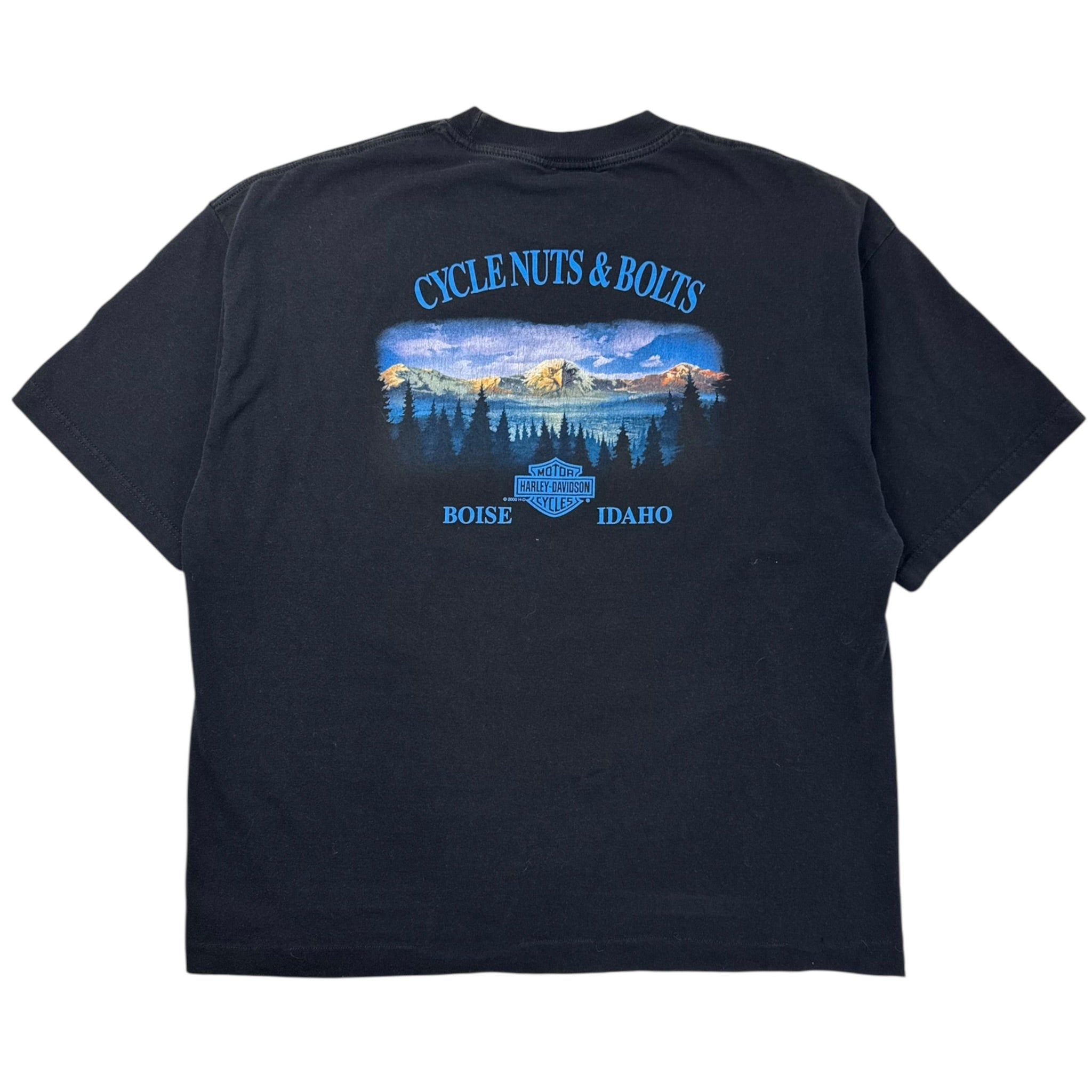 1999 Harley Davidson Big Lightning Boise T-Shirt