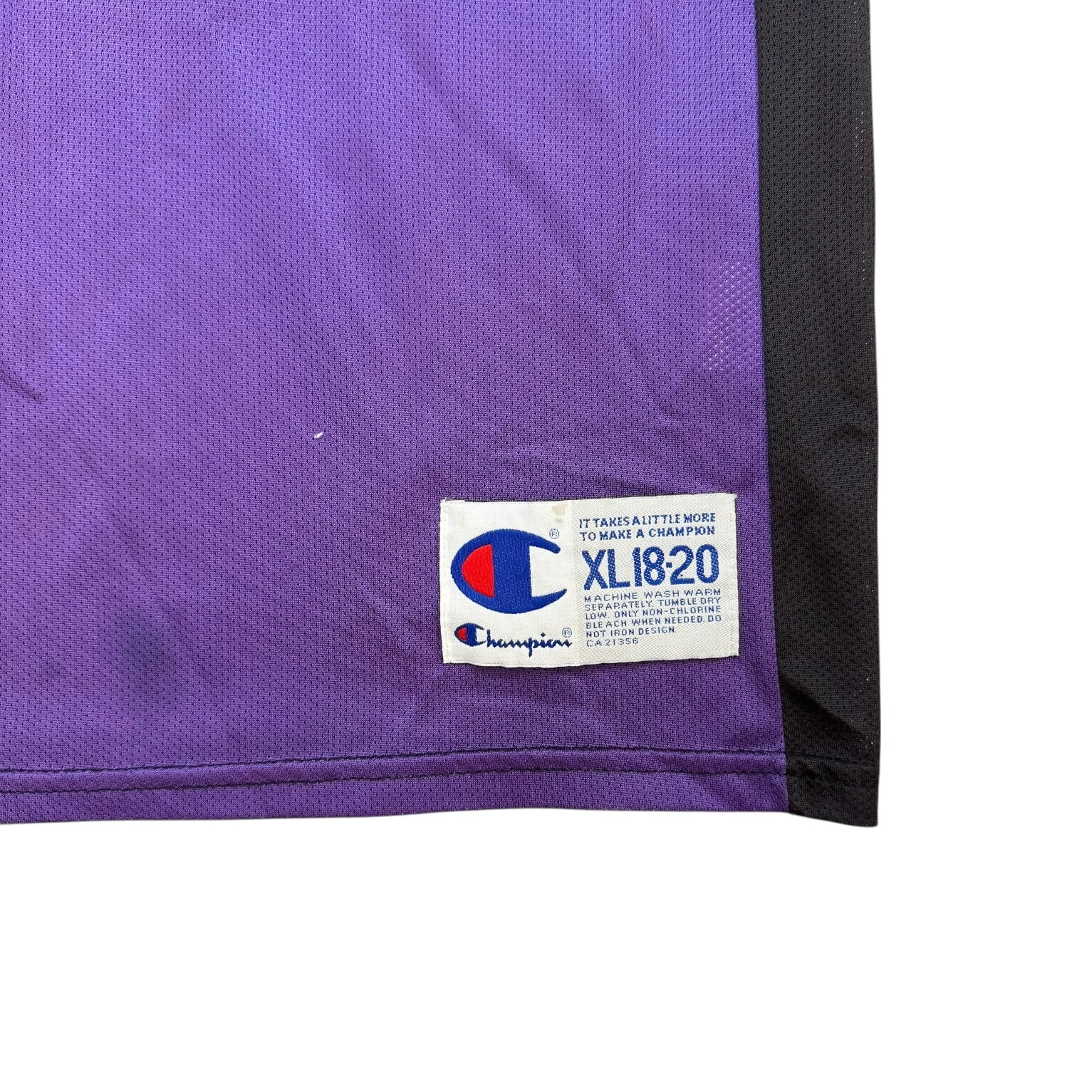 Vintage Champion Toronto Raptors Vince Carter Jersey Black/Purple