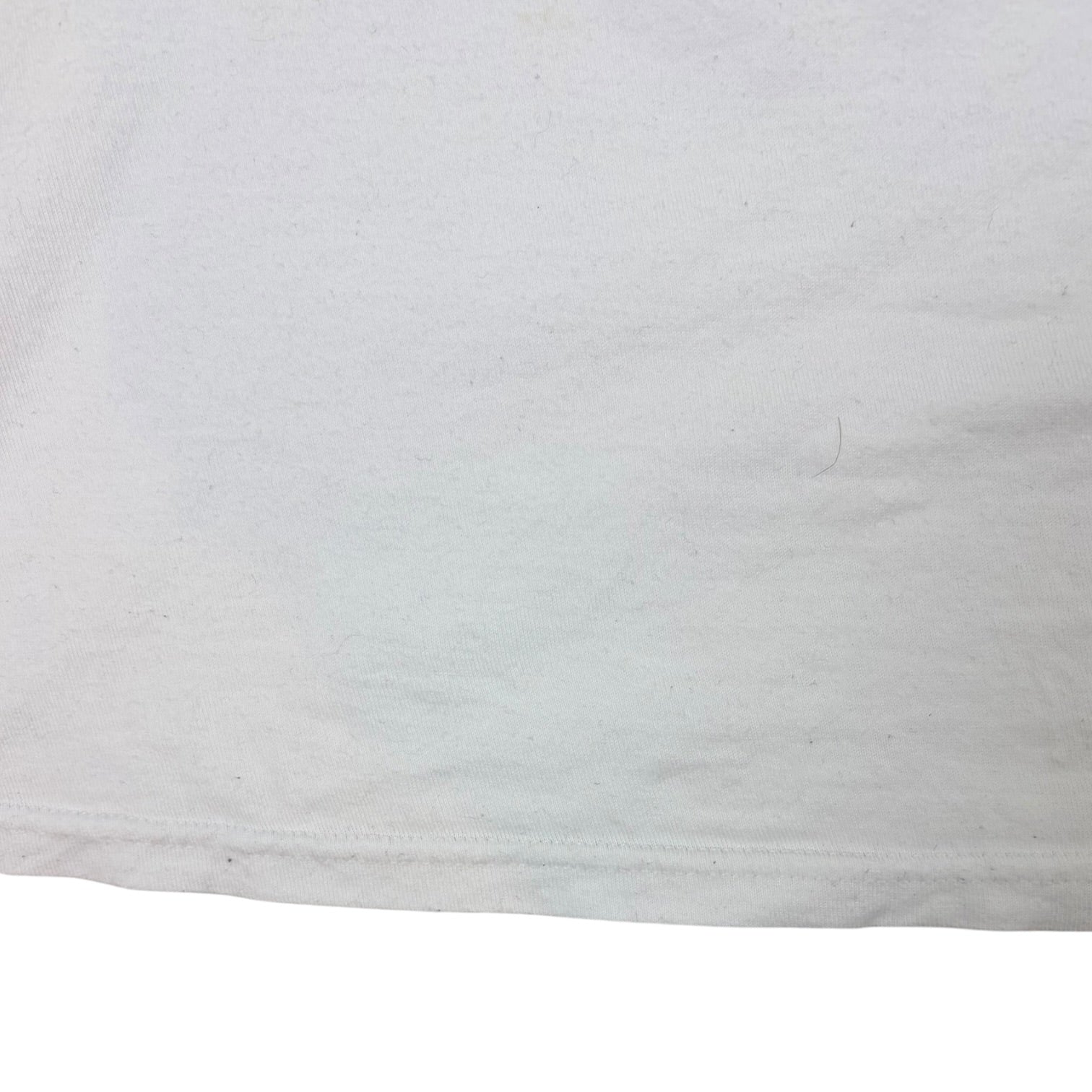 Stussy Hippo T-Shirt White