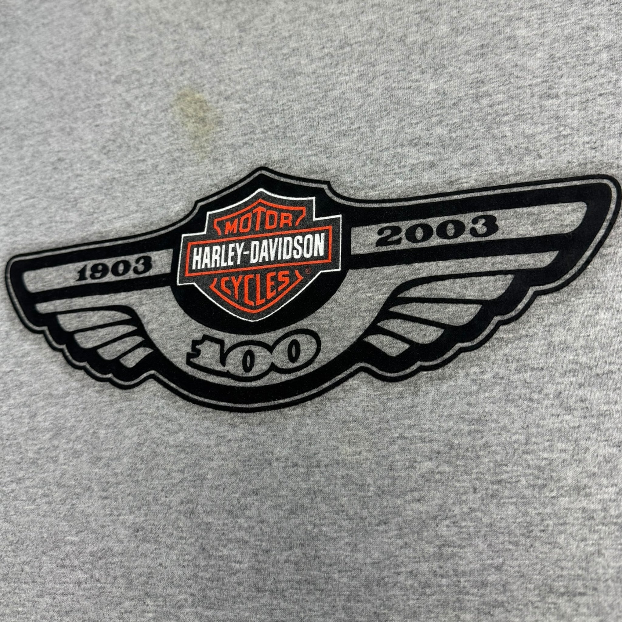 2003 Harley Davidson Felt Embroidered T-Shirt
