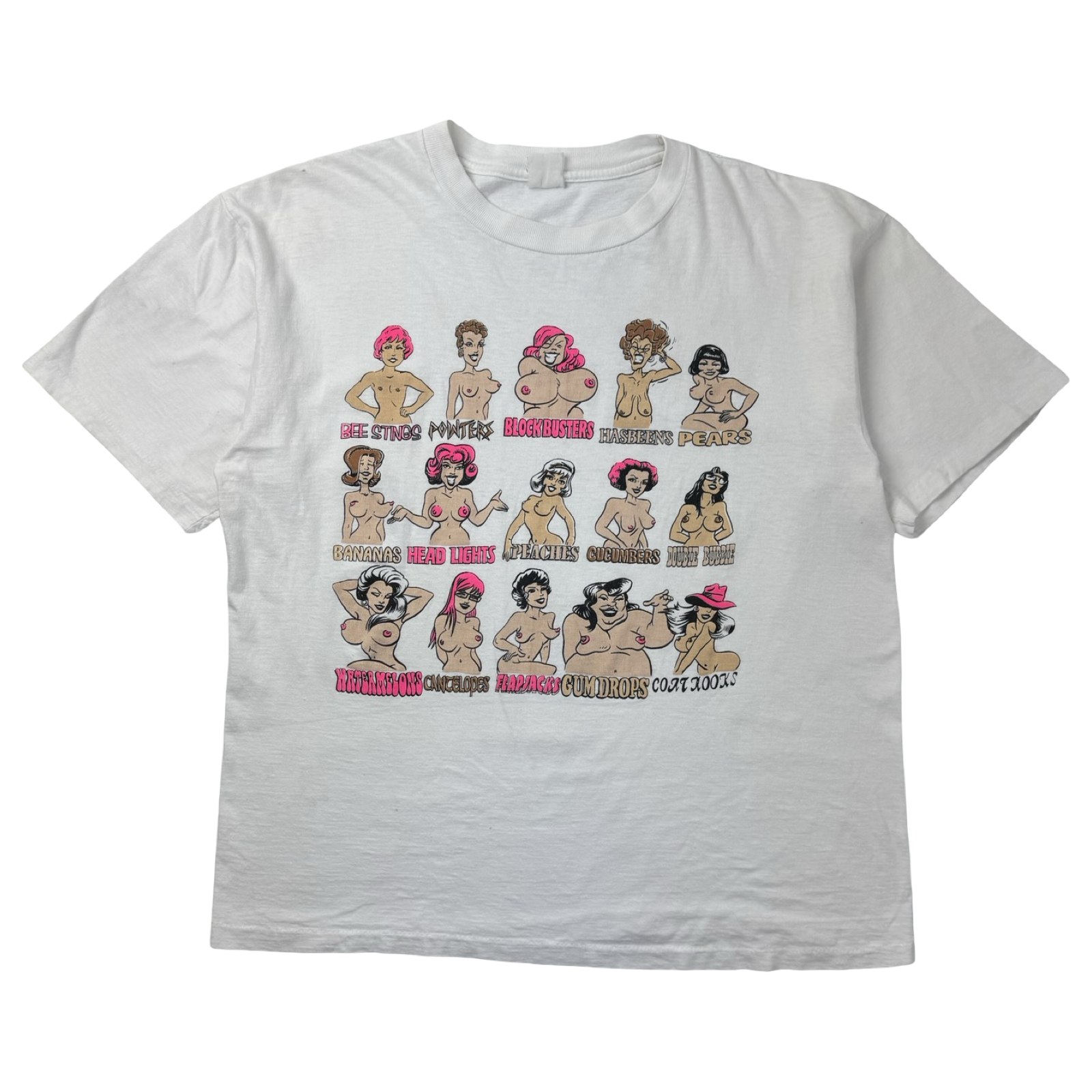 Vintage Shapes Sizes And Funny Names Lewd T-Shirt