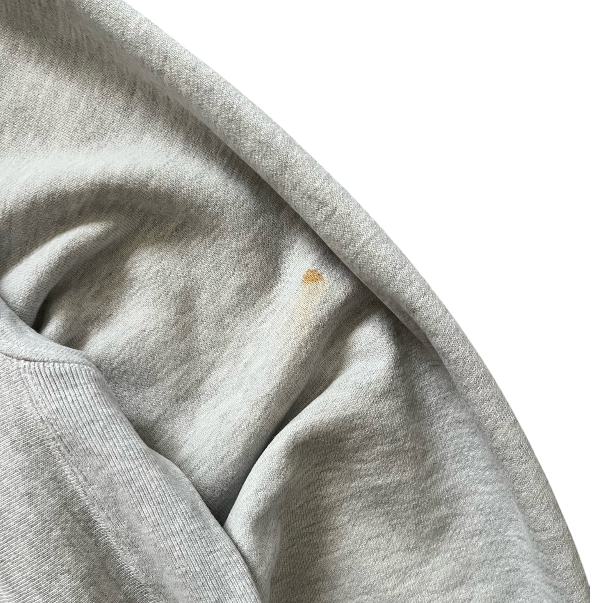 Vintage MIT Champion Reverse Weave Sweatshirt