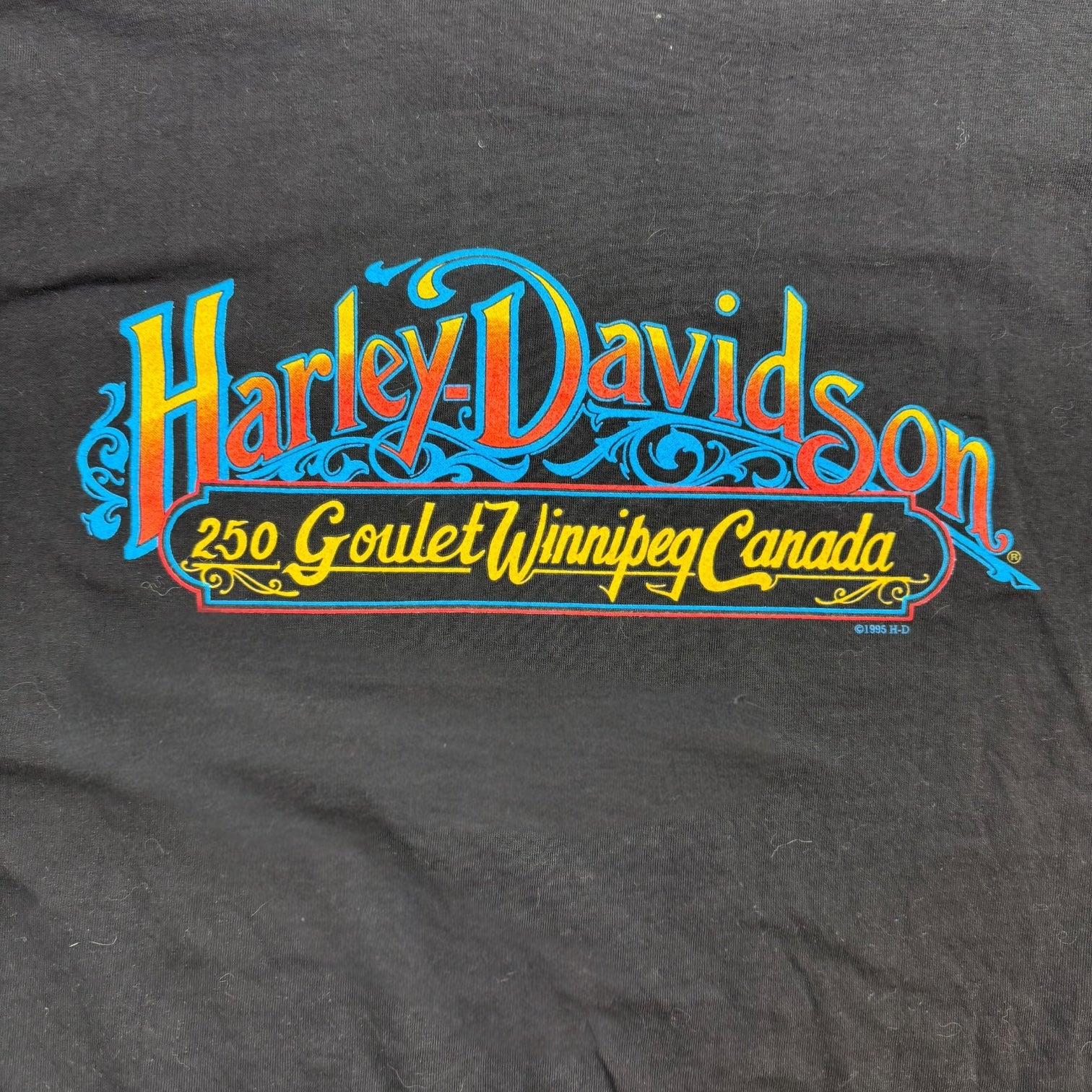 1995 Harley Davidson Of Winnipeg Tee Black