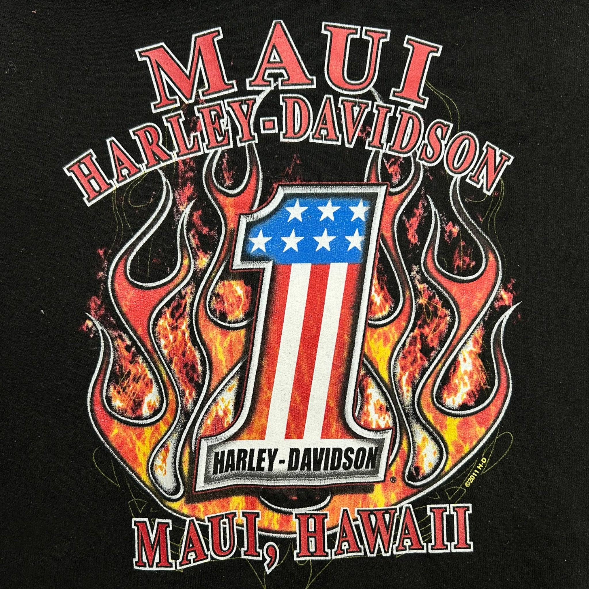 Harley Davidson Zip Up Flamesleeve Hoodie