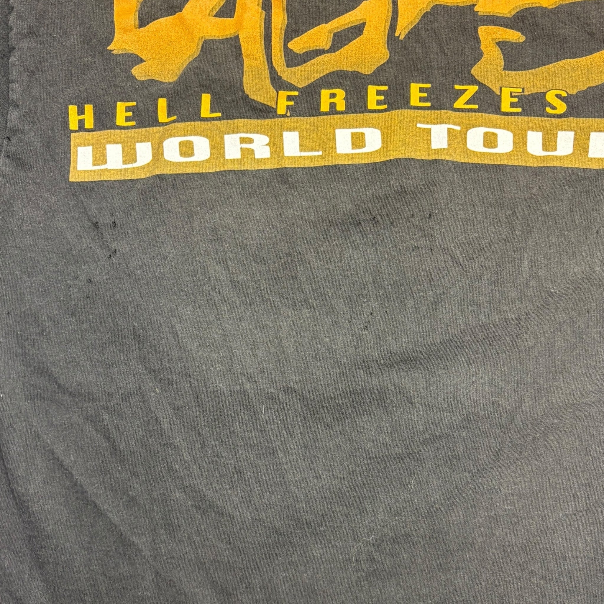 1994 Eagles Hell Freezes Over World Tour T-Shirt