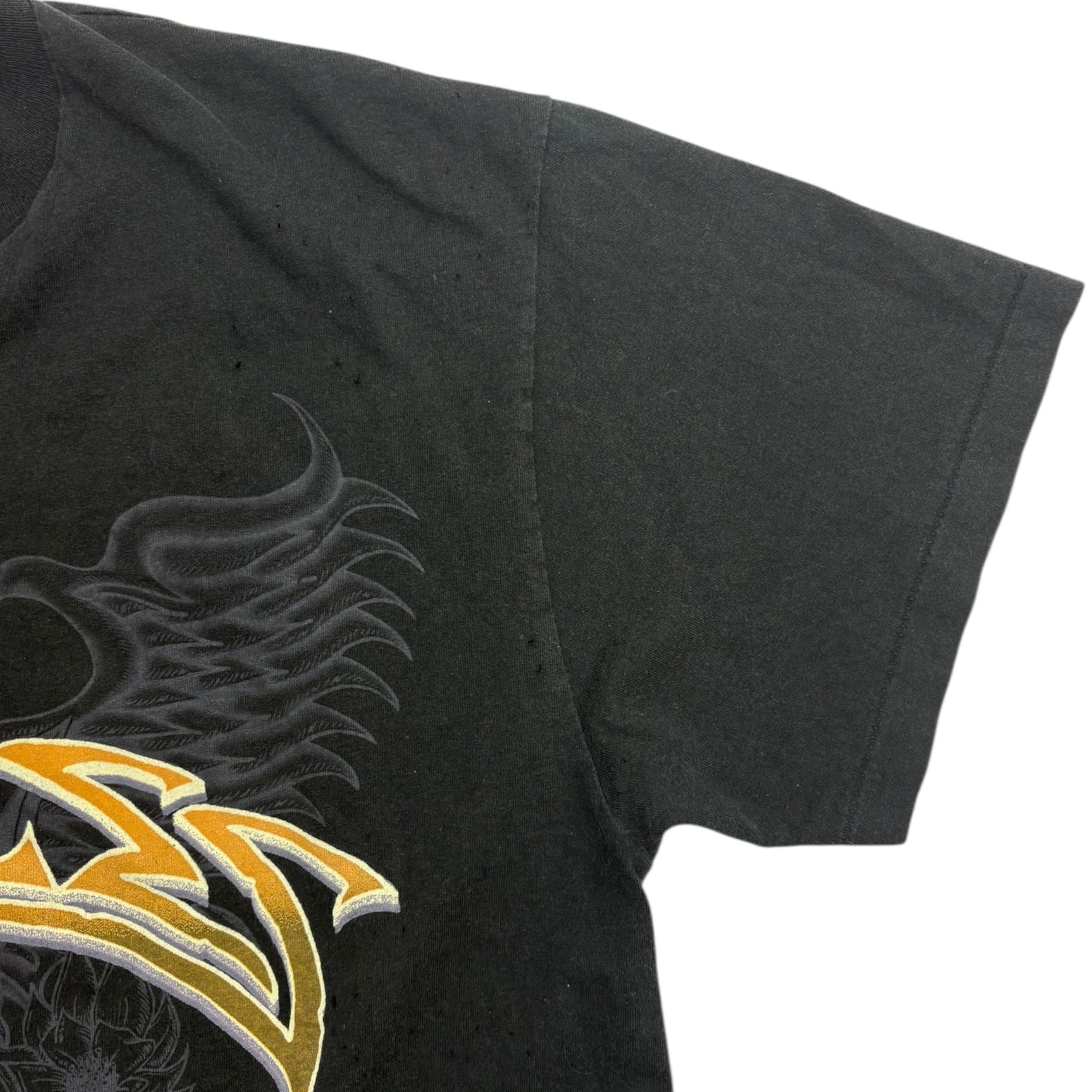 1994 Eagles Hell Freezes Over World Tour T-Shirt