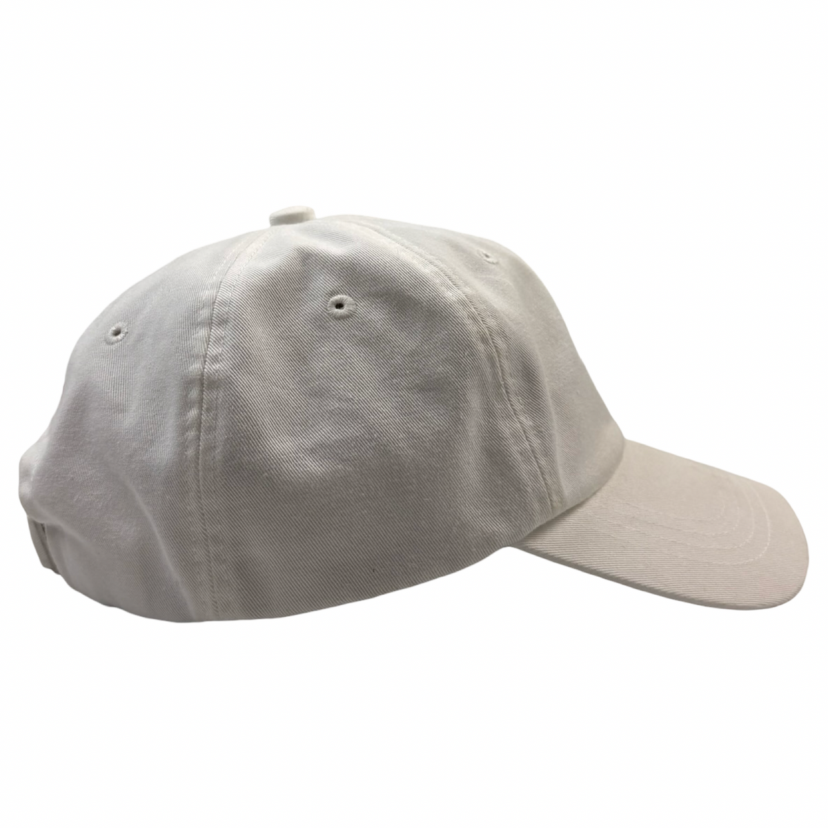 Bape Shark 6 Panel Cap